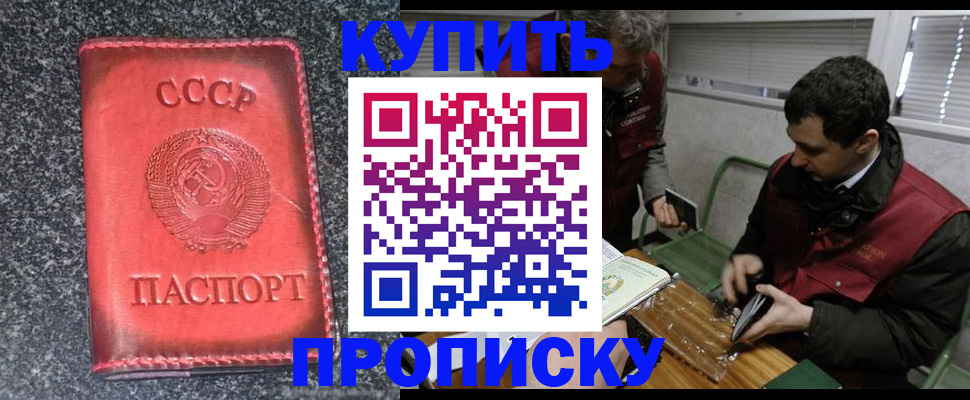 временная регистрация недорого в Алексеевке